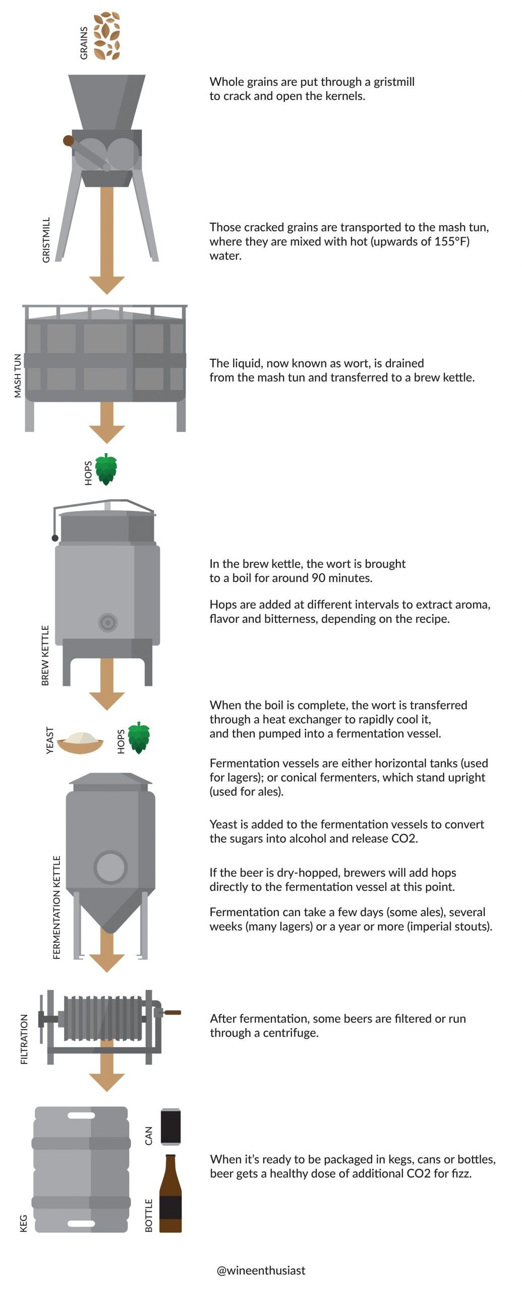 Инфографика процесса пивоварения