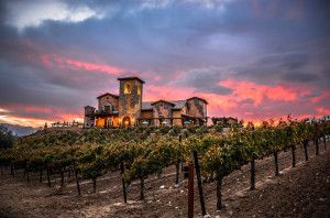 Renzoni Winery Kaliforniassa
