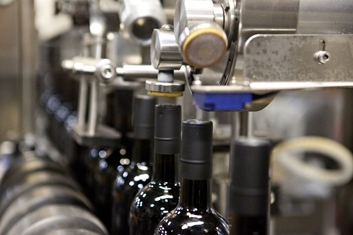 Endised veinimüüjad kaebavad vanuse diskrimineerimise eest kohtusse Ca ’Momi Winery