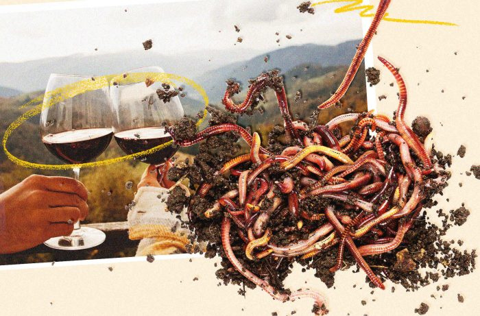 Winiarnie obejmują robaki w walce o oszczędzanie wody