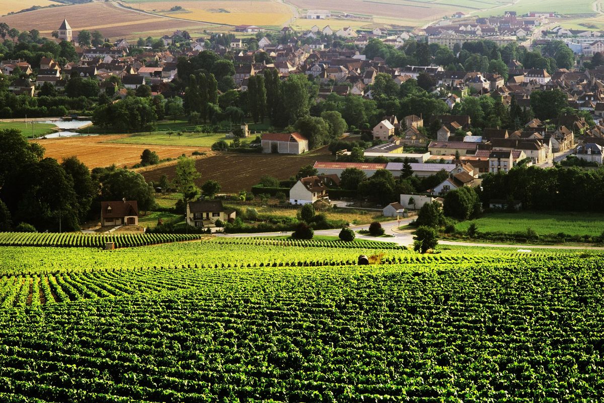 Chablis falu és szőlőültetvények Burgundia, Franciaország