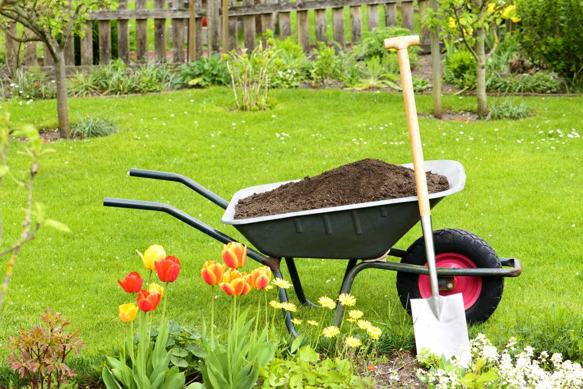 Как использовать компост: 9 способов дать вашим растениям импульс