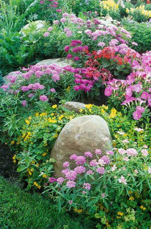 6 nasvetov za ustvarjanje vrta, ki zahteva malo vzdrževanja