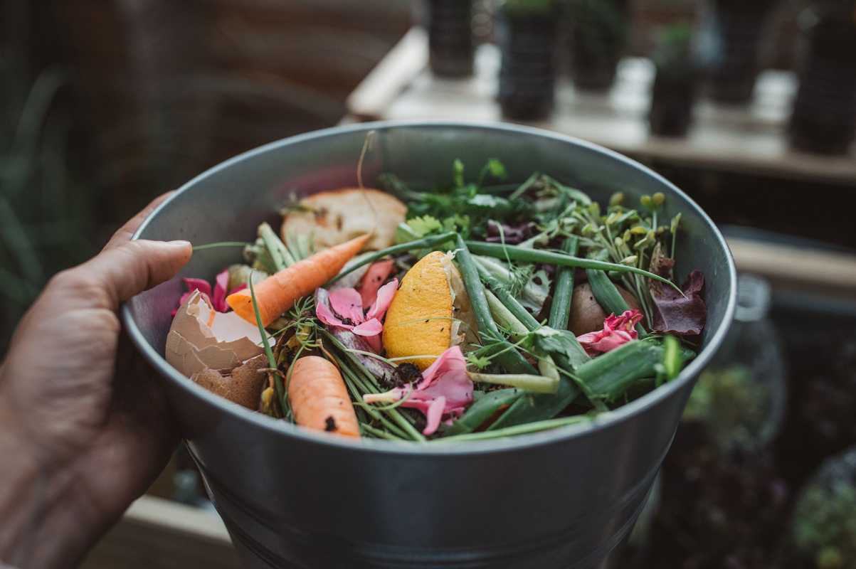 Hier erfahren Sie, was Sie nicht in den Kompost geben sollten, um eine kontaminierte Tonne zu vermeiden