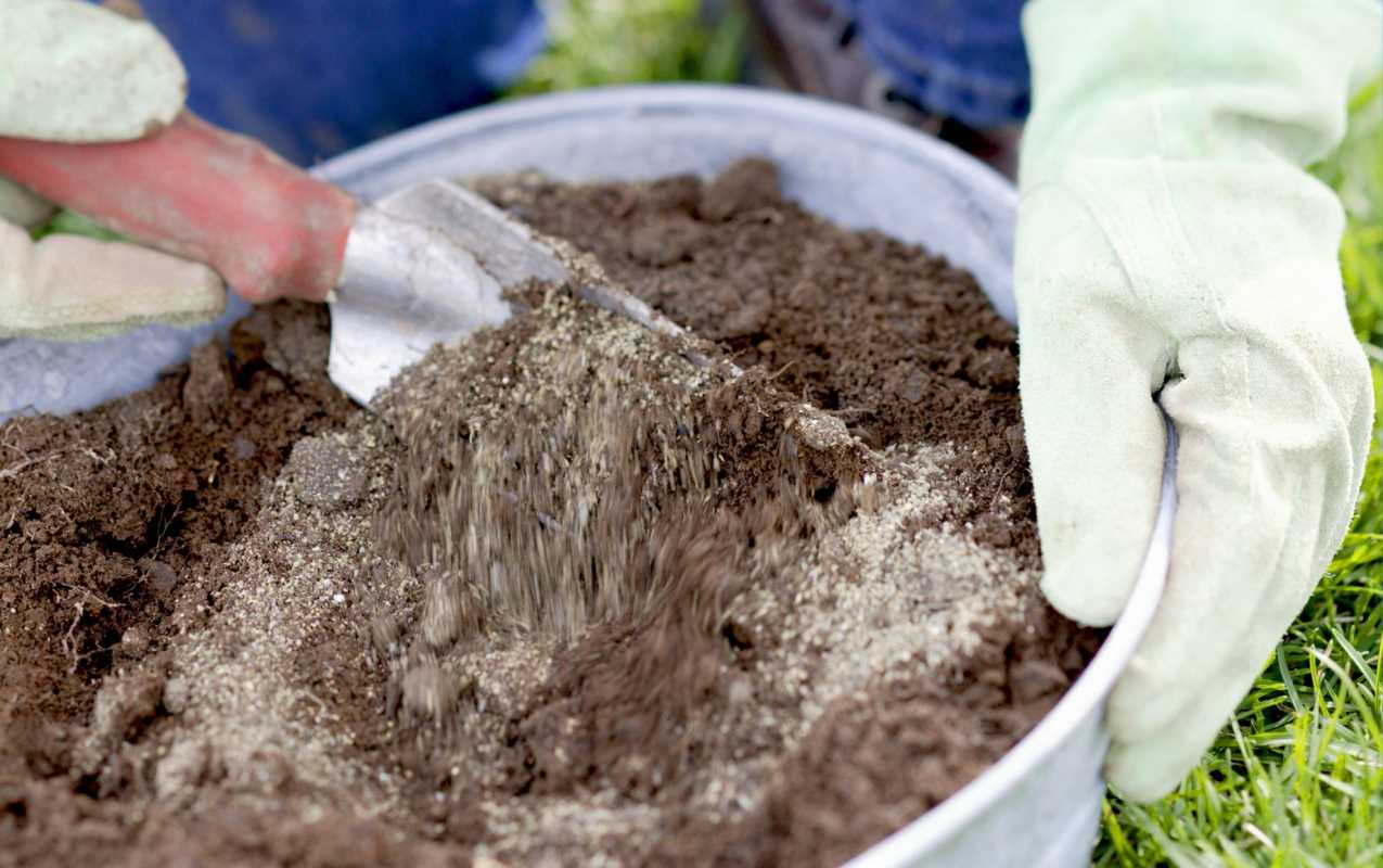 Per què hi ha nitrogen, fòsfor i potassi als fertilitzants vegetals?