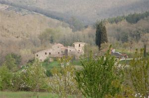 Las colinas a las afueras de Castellina in Chianti / Crédito de la foto: Amber Share