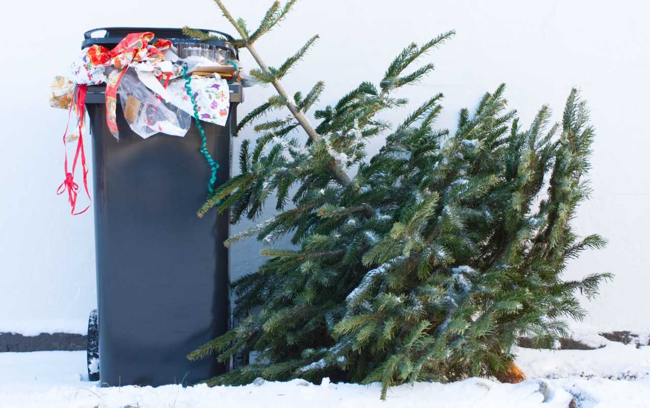 אל תוריד את עץ חג המולד שלך עד 6 בינואר - הנה הסיבה