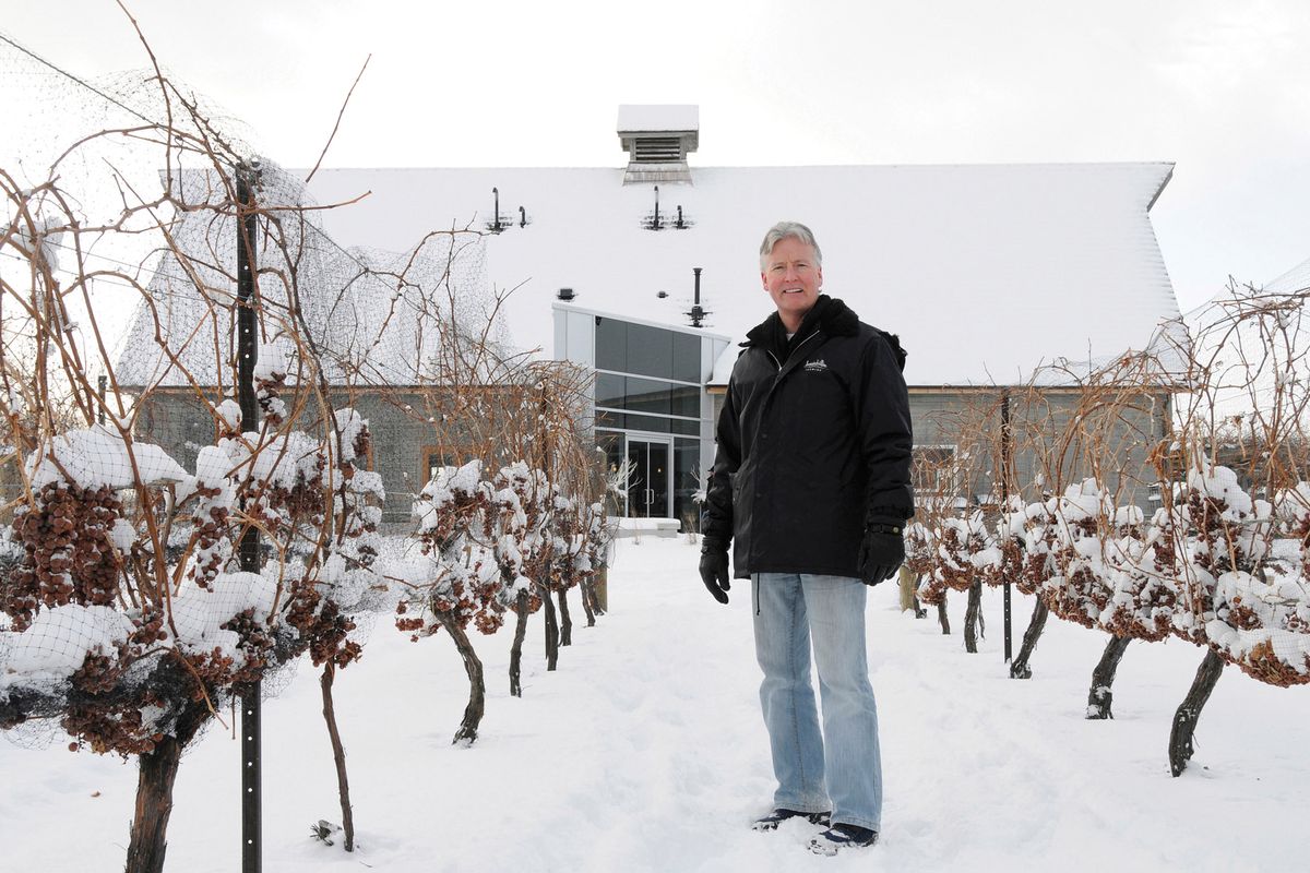 Bruce Nicholson, az Inniskillin borásza, aki három évtizede gyártja az Icewine-t