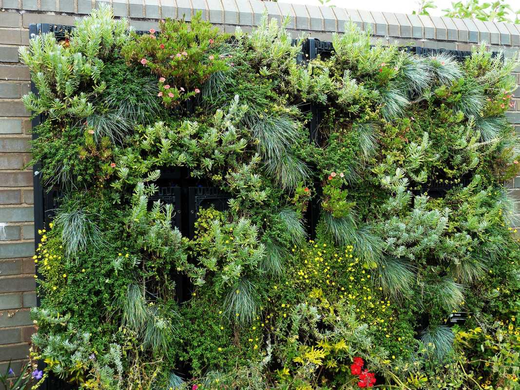 Voeg verticaal tuinieren toe aan uw tuin voor ruimtebesparend groen