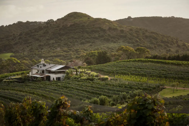 De beste vingårdene (og flere) på Waiheke, New Zealands 'Island of Wine'