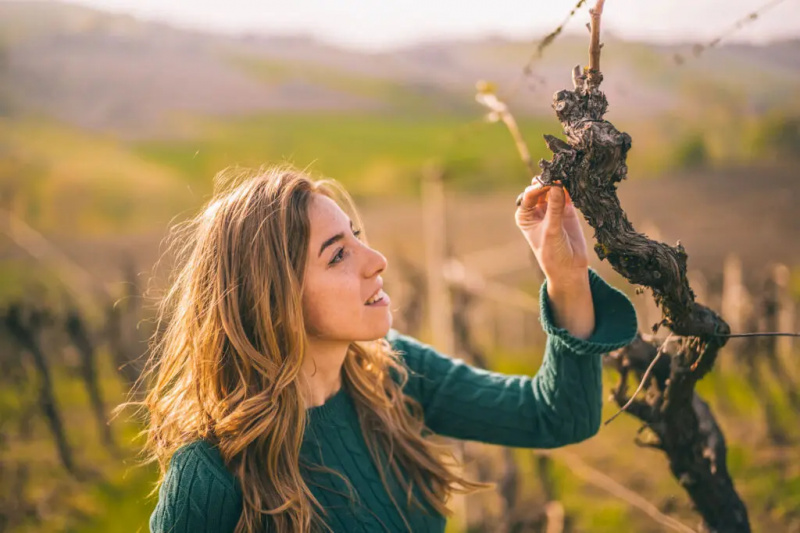 महिलाओं की एक नई पीढ़ी ऐतिहासिक इतालवी वाइनरीज़ पर कब्ज़ा कर रही है