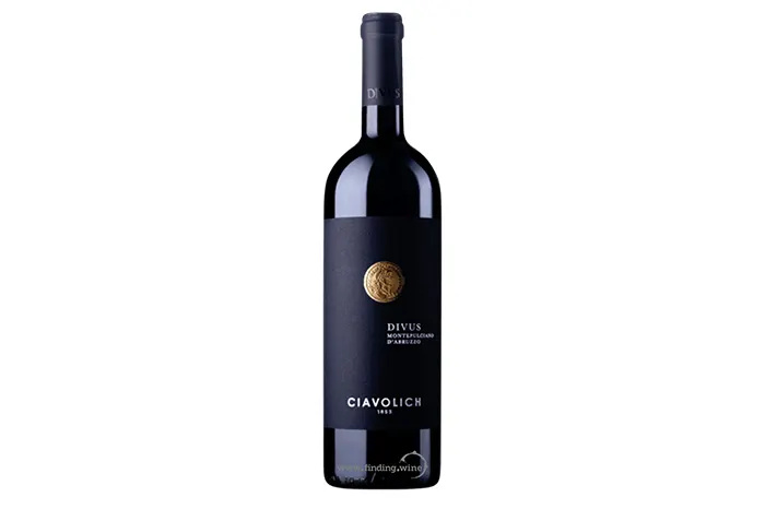 أفضل أنواع نبيذ مونتيبولسيانو دابروتسو للشرب الآن