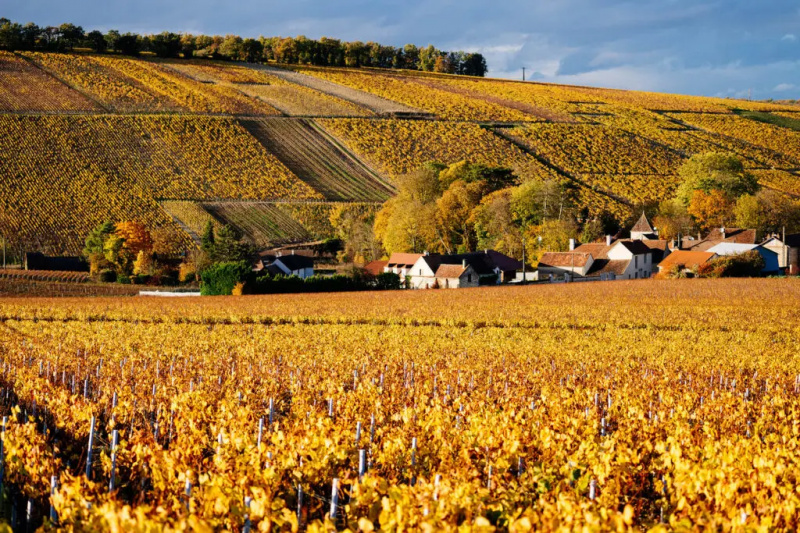 Uygun Fiyatlı Burgundy: Bütçenizi Zorlamadan Ünlü Fransız Bölgesini Ziyaret Edin