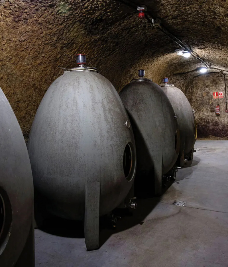 Verdejo Serbaguna: Kenali Anggur Putih Kegemaran Sepanyol