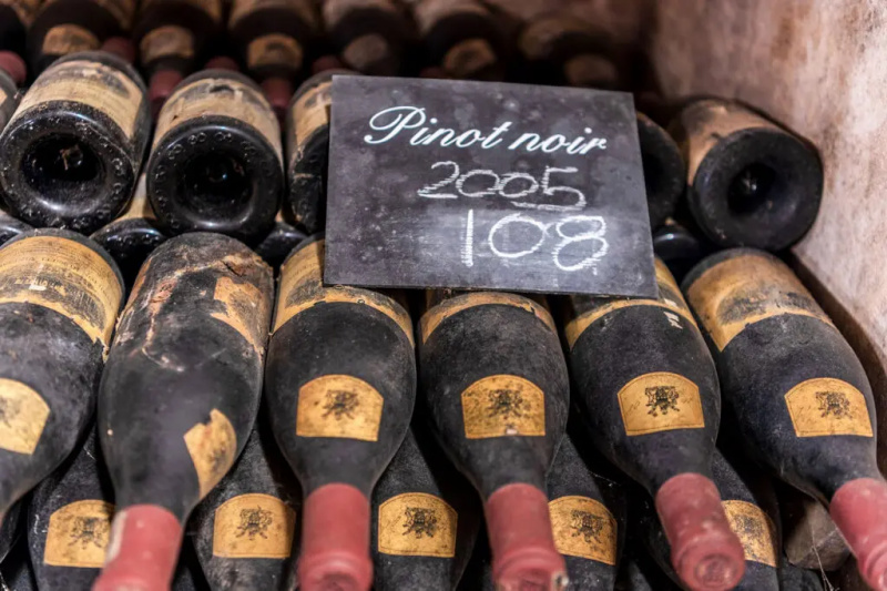 Южноафриканское вино Хемель-ан-Аарде — кусочек винного рая на Земле