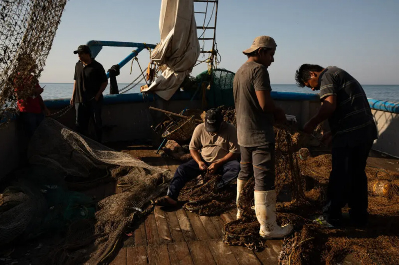  Nelayan di Sinaloa Mexico di atas bot nelayan