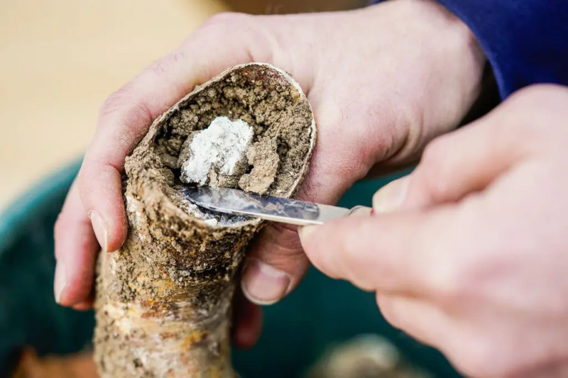 Zrozumieć Rudolfa Steinera, człowieka, który wynalazł biodynamikę