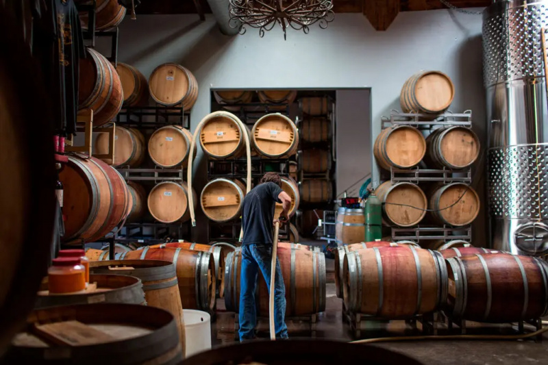   Vinmakare som arbetar på en vingård