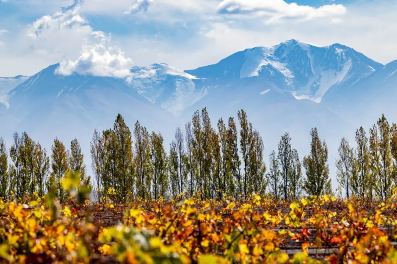 Ang Pinakamagandang Wineries (at Higit Pa) na Bisitahin sa Mendoza, Argentina