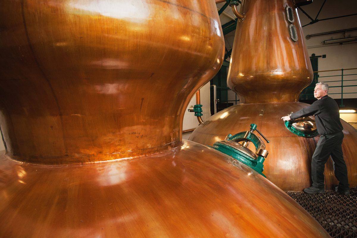 Primer plano de alambiques de whisky de cobre