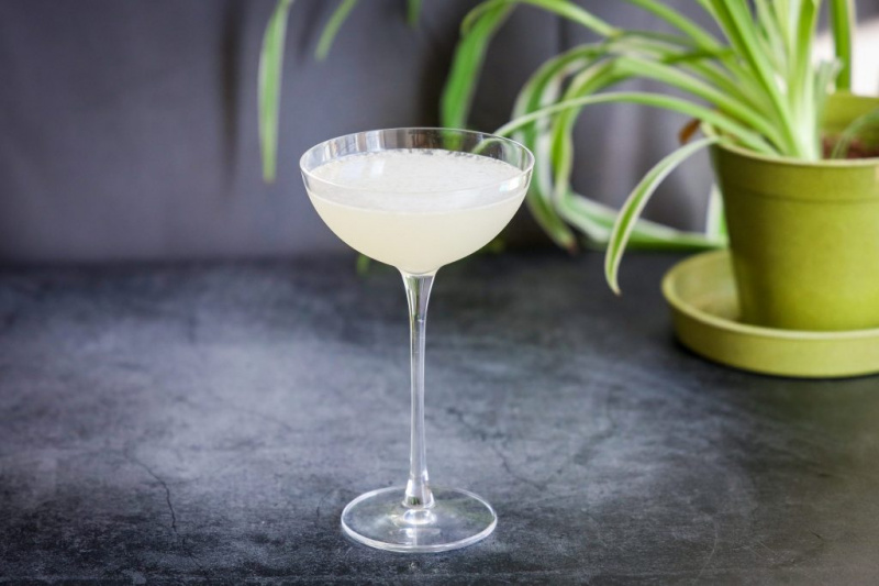   Gimlet cocktail su superficie di marmo grigio con pianta sullo sfondo