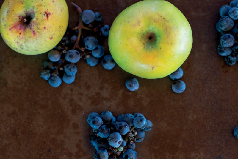  Zdjęcie niektórych jabłek i winogron