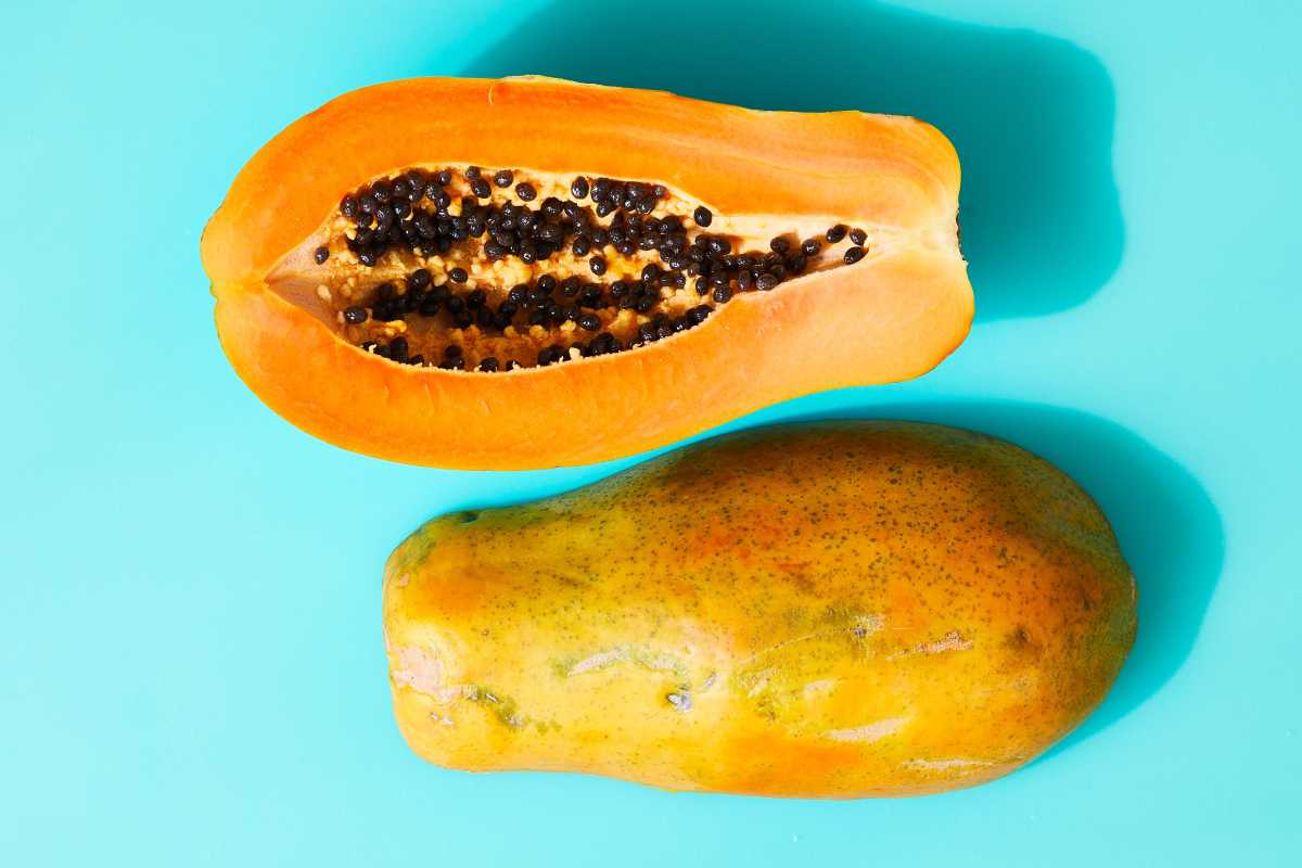 Hur man odlar papaya från frö i 6 enkla steg