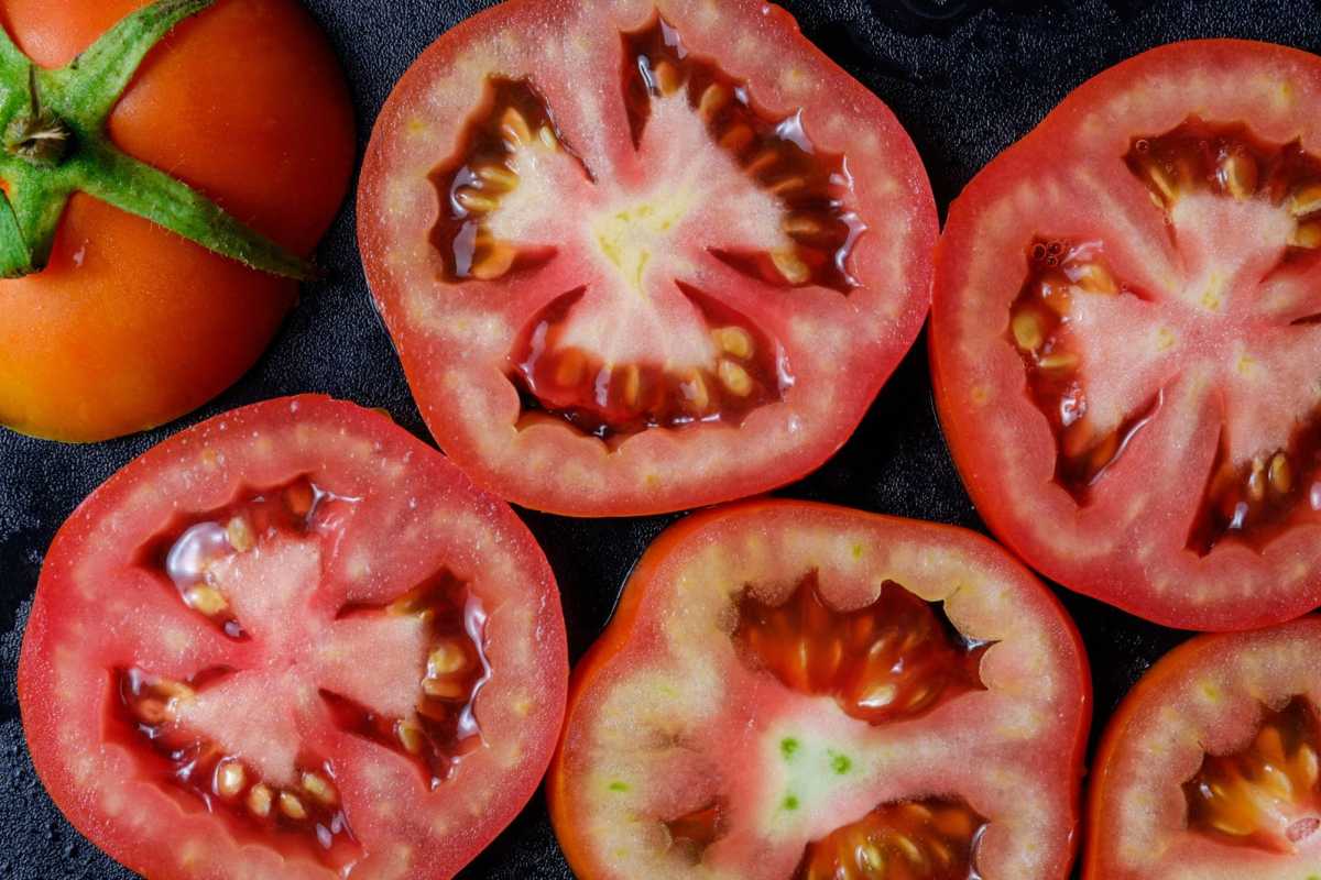 כיצד לשמור זרעי עגבניות ב-8 שלבים פשוטים