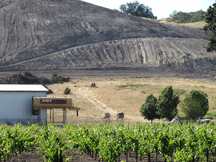 Pemandangan dari kebun anggur