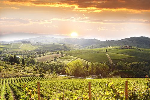 L'età d'oro del vino italiano