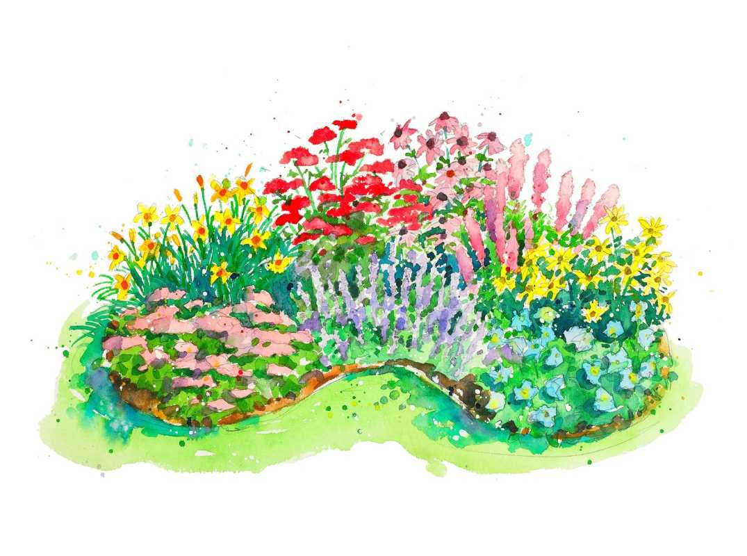 ilustração de jardim