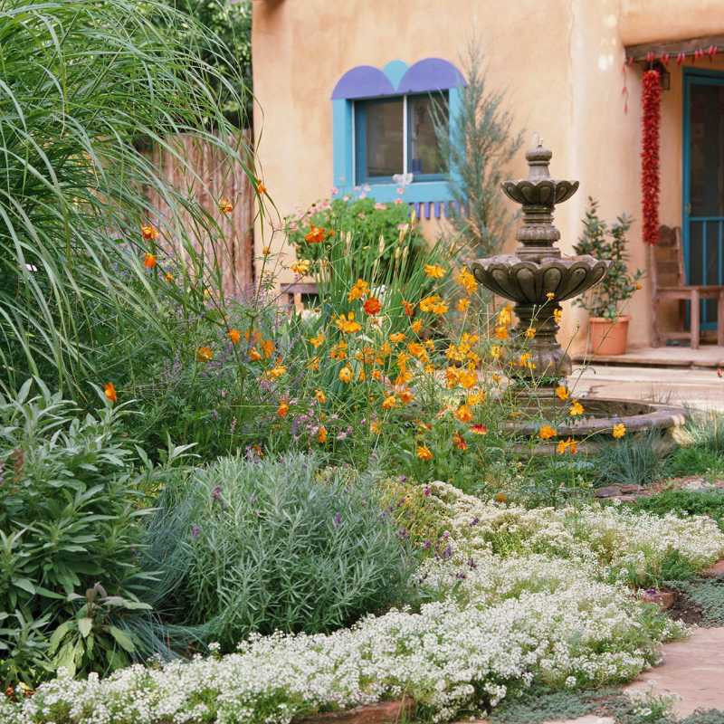градина в задния двор с декоративна каменна баня за птици