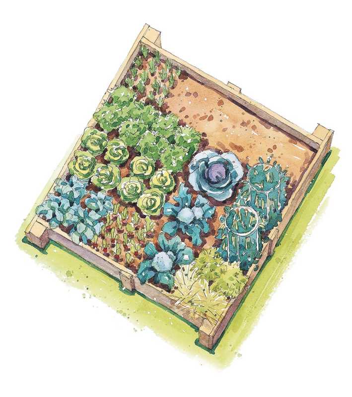 Vårens grönsaksträdgårdsplan