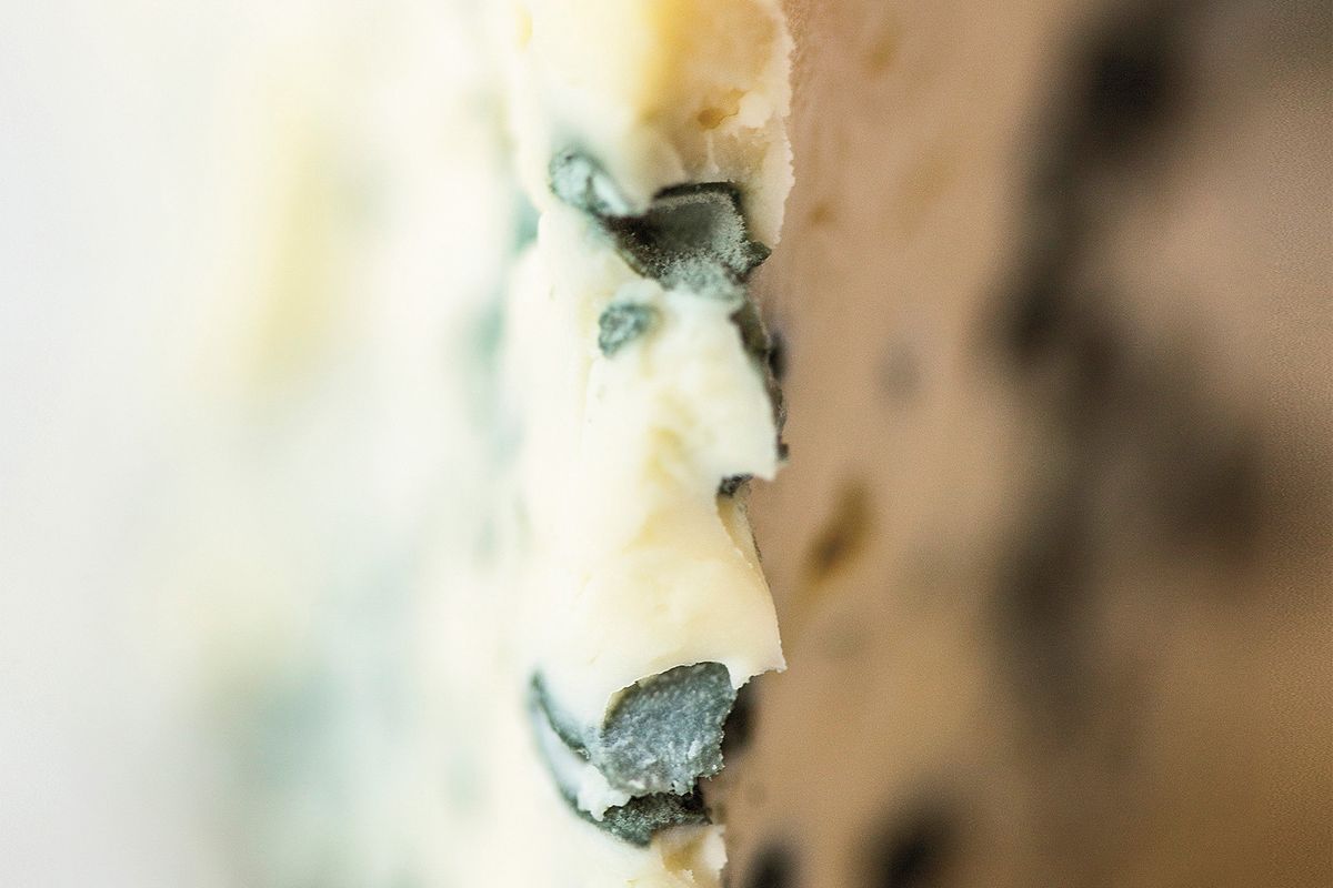 Los desafíos del maridaje de queso azul con vino, resueltos
