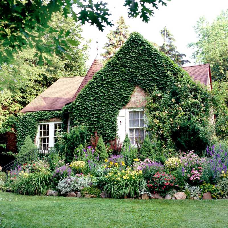 Waarom een ​​Engelse cottage-tuin het geheim zou kunnen zijn van een betere beteugeling van de aantrekkingskracht