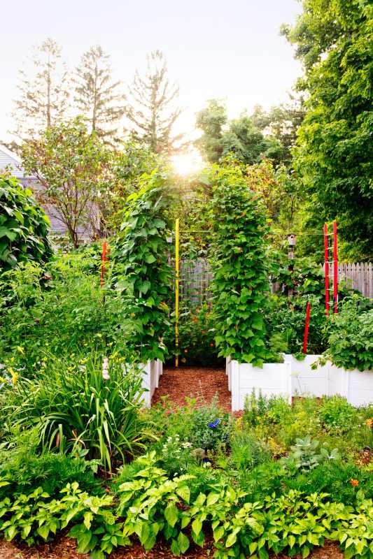 Co je to permakulturní zahrada? Plus 12 tipů pro vlastní výsadbu