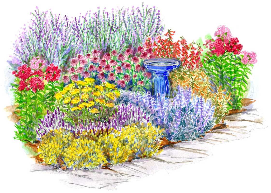 Tento vytrvalý plán trvalkové zahrady obsahuje rostliny bez problémů