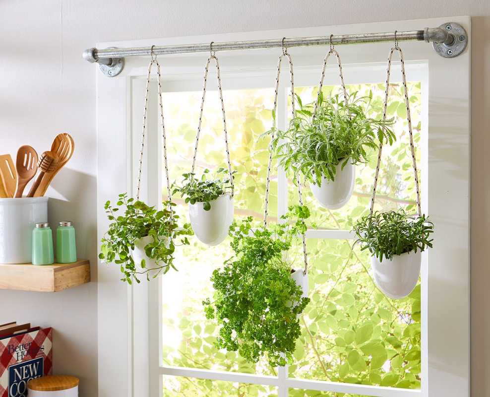 Sådan dyrker du urter indendørs for at nyde deres friske smage og dufte året rundt