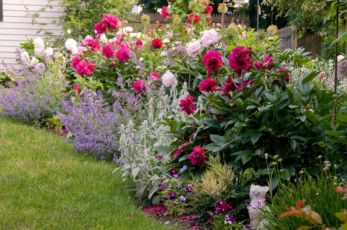 다채로운 색상으로 가득한 정원에 꽃을 심는 방법