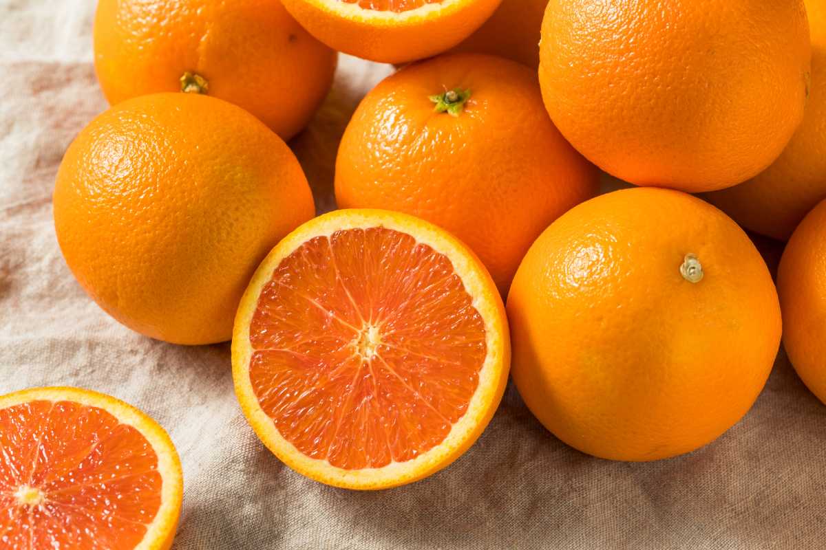 카라카라 오렌지가 최대한 빨리 먹어보고 싶은 다채로운 감귤류인 이유