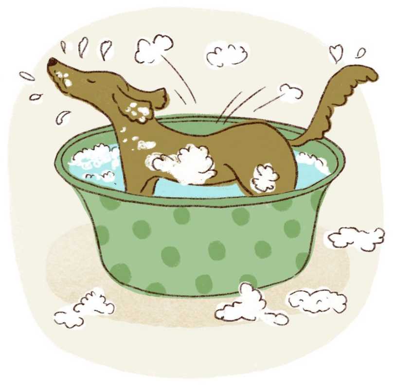 илустрација купања пса