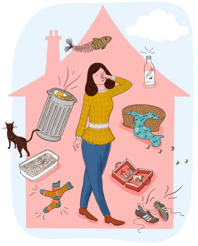 7 načinov, kako pregnati običajne gospodinjske vonjave za bolj svež dom