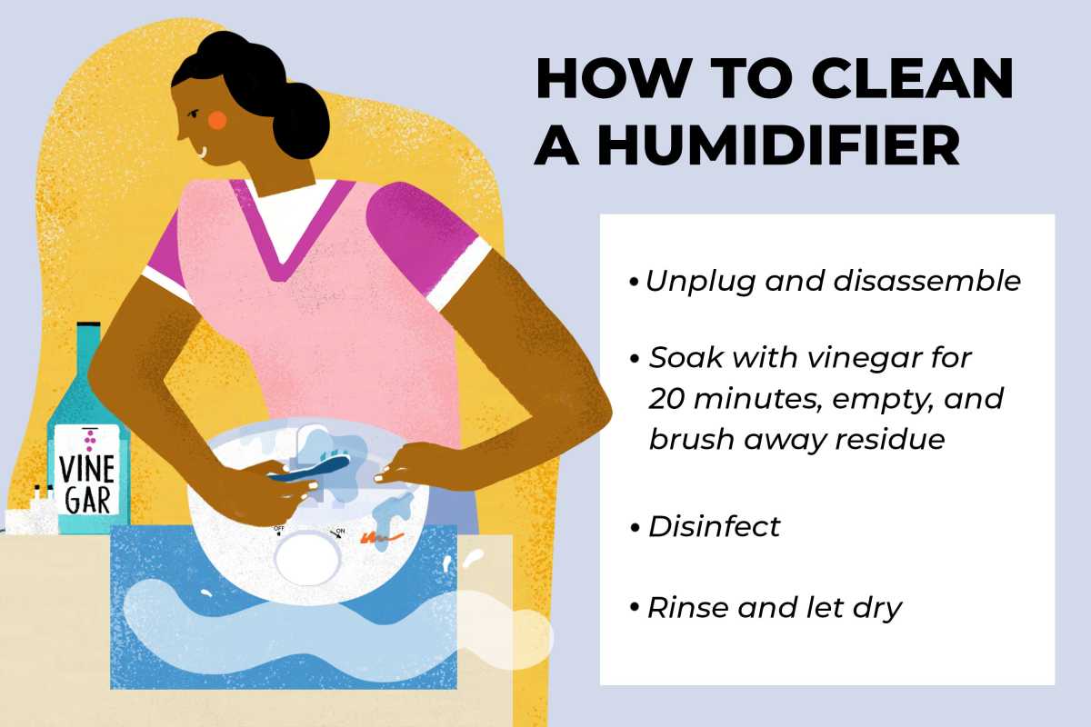 Hvordan rengjøre en luftfukter og hva du skal gjøre daglig for å holde den ren