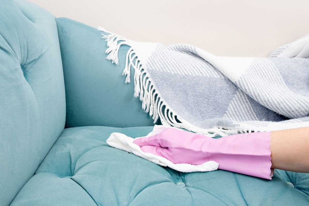 كيفية تنظيف الأريكة المصنوعة من الألياف الدقيقة لتبدو جيدة لسنوات عديدة