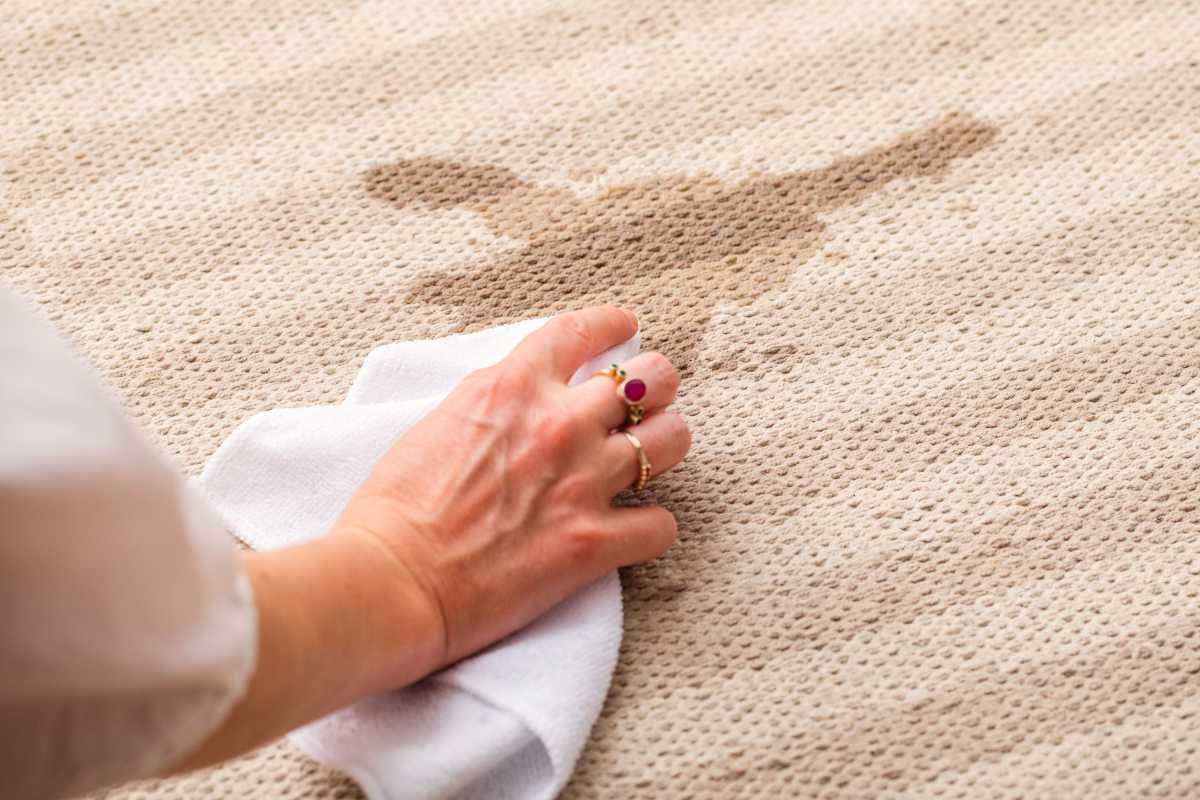 Vlekken uit tapijt verwijderen, ongeacht welk type