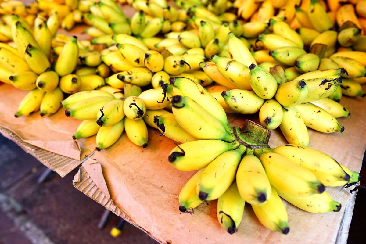 Hva er en Manzano-banan? Bli kjent med denne bedårende frukten.