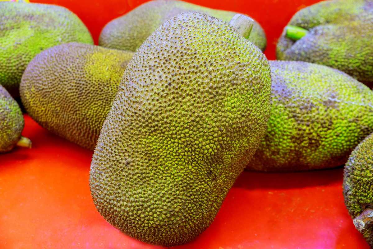 Πώς να φάτε Jackfruit, συμπεριλαμβανομένου του ξεφλουδίσματος, της προετοιμασίας και του μαγειρέματος