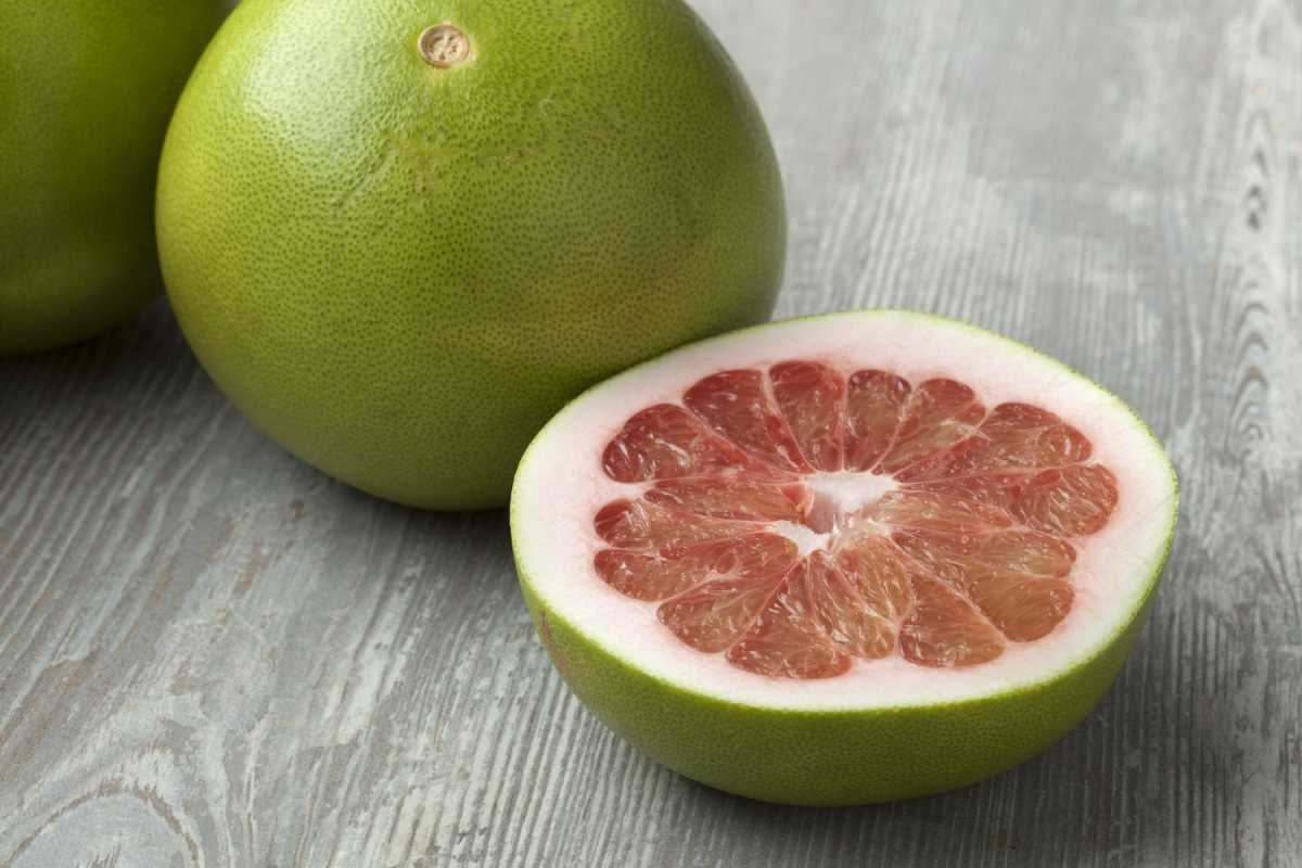 Vad är en pomelo? Allt att veta om denna citrus