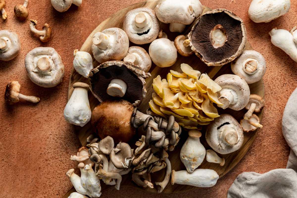 Ako vyčistiť huby pre zemitú chuť bez špiny