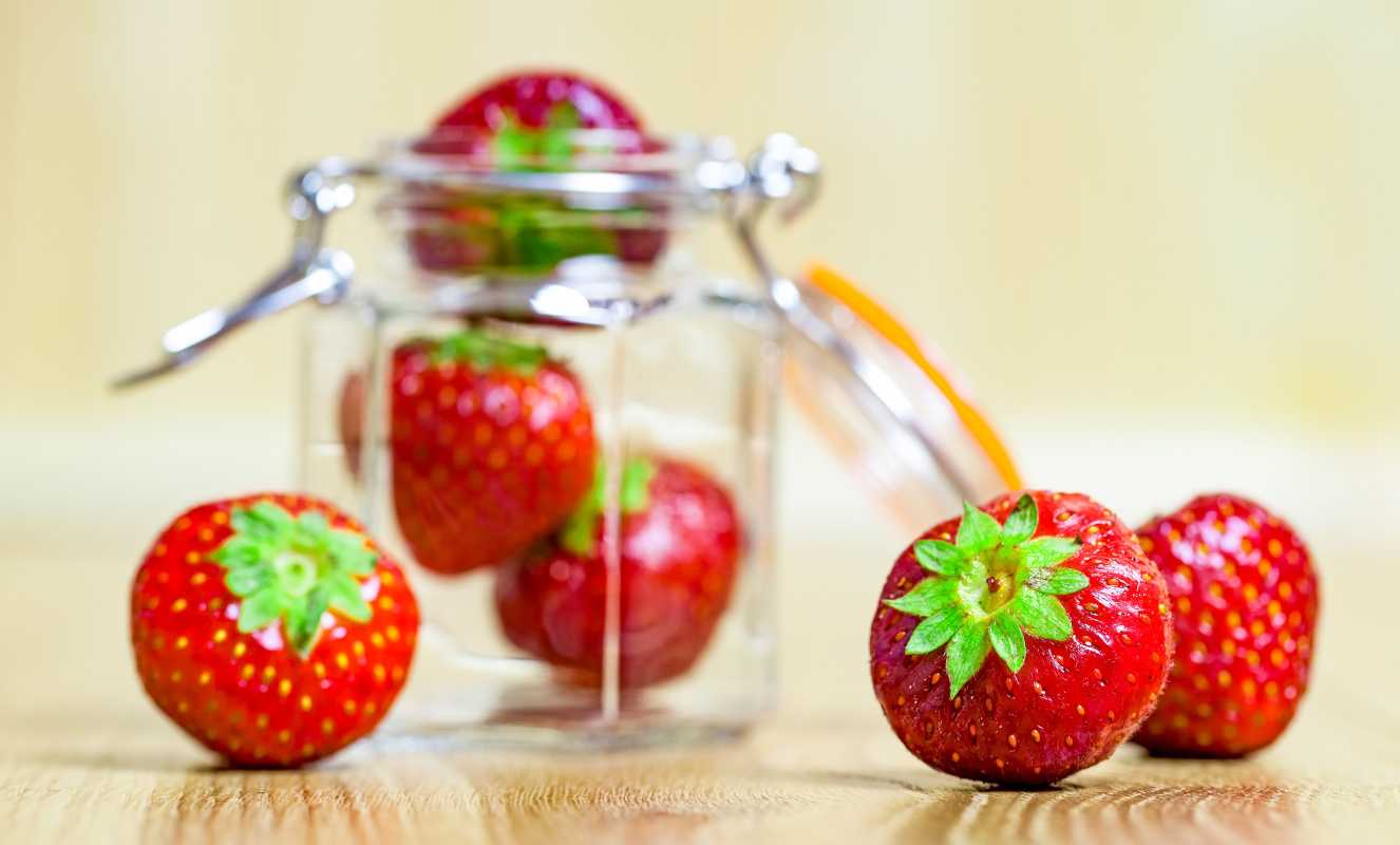 딸기의 수명을 최대화하기 위해 냉장고에 딸기를 보관하는 방법